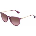 Ray-Ban RB 4171 ERIKA – Zbozi.Blesk.cz