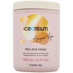 Inebrya Ice Cream Argan Age Pro-Age Mask 1000 ml – Hledejceny.cz