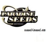 Paradise Seeds Mendocino Skunk semena neobsahují THC 5 ks – Zboží Mobilmania