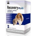 Science Selective Recovery Plus 20 g – Zbozi.Blesk.cz