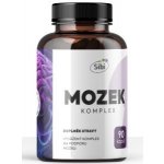 Mozek komplex houbové extrakty 90 kapslí 500 mg – Hledejceny.cz