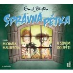 Správná pětka 11. v sovím doupěti - Enid Blytonová - Čte Michaela Maurerová – Zbozi.Blesk.cz