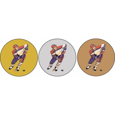 VIZINGR Lední hokej MINI loga L1č.180 – Hledejceny.cz