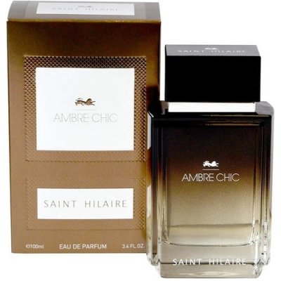 Saint Hilaire Ambre Chic parfémovaná voda pánská 100 ml – Zboží Mobilmania