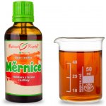 Bylinné kapky Měrnice Duše rostlin kapky tinktura 50 ml – Hledejceny.cz