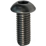 Hahn Steel Imbusový šroub s hřibovitou hlavou M10 x 20 mm, AISI 304 – Hledejceny.cz