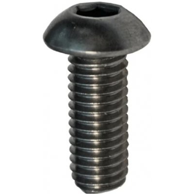 Hahn Steel Imbusový šroub s hřibovitou hlavou M10 x 20 mm, AISI 304 – Hledejceny.cz