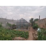 Gutta Gardentec Standard 2 x 2,5 m PC 4 mm 4294488 – Zboží Dáma