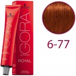 Schwarzkopf Igora Royal Intenzivní měděná tmavá blond 6-77 60 ml – Zboží Dáma