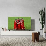 Panasonic TX-65LX800E – Zboží Živě