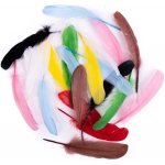 DP Craft Dekorativní husí peří mix barev 16 cm 20 ks – Hledejceny.cz
