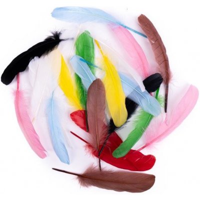 DP Craft Dekorativní husí peří mix barev 16 cm 20 ks – Hledejceny.cz