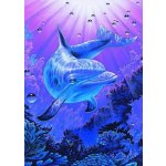 Norimpex Diamantové malování Delfín 30 x 40 cm – Sleviste.cz