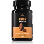 Hrotlife Chaga Premium podpora správného fungování organismu 60 kapslí – Hledejceny.cz