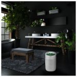 Concept OV1200 Perfect Air – Zboží Dáma