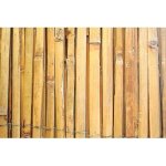 rohoz bambus 1.5x5m | Srovnanicen.cz