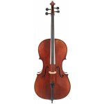 Eastman Rudoulf Doetsch Cello 4/4 VC701G – Zboží Mobilmania