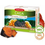 Terezia Company Čaga Reishi a Rakytník 60 kapslí – Sleviste.cz