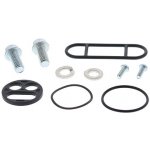 ALL BALLS opravná sada palivového kohoutu YAMAHA YZF/WRF 250/400/450, YZ125/250, YFM600 GRIZZLY, YFM660 raptor, YZF-R1 98-01, FZ1 01-05, XVS650 V-STAR – Zboží Mobilmania