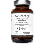 Kenay Pycnogenol 100 mg 30 kapslí – Hledejceny.cz