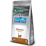 Vet Life Cat Diabetic 2 kg – Zboží Mobilmania
