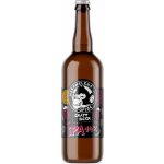 Nachmelená Opice 14 IPA 6% 0,75 l (sklo) – Zbozi.Blesk.cz