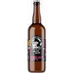 Nachmelená Opice 14 IPA 6% 0,75 l (sklo) – Hledejceny.cz