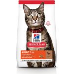 Hill’s Feline Adult Lamb & Rice 1,5 kg – Hledejceny.cz