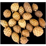 Vánoční Dekorace Cane fruit 20 ks – Hledejceny.cz