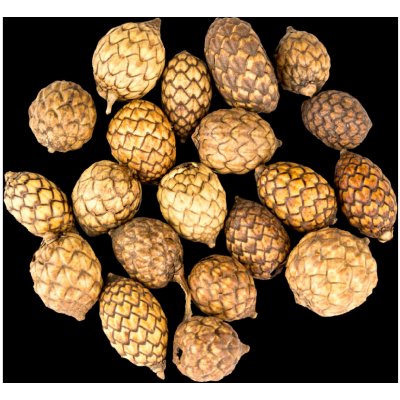 Vánoční Dekorace Cane fruit 20 ks – Hledejceny.cz