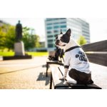 Vsepropejska Birk mikina s obrázkem pro psa – Zboží Mobilmania