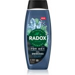 Radox Sprchový gel a šampon pro muže 2v1 Feel Energised 450 ml – Hledejceny.cz