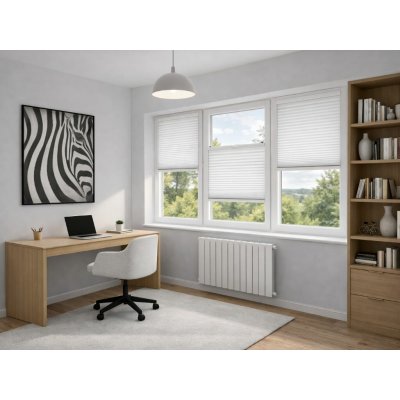 Zebra-Shop Plissé Lux Zatemňující Duo Bílá PM01 59 x 111-150 cm – HobbyKompas.cz