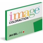 Papír barevný A4 80 g Image Coloraction DG47 Dublin tmavě zelená – Sleviste.cz