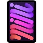 Apple iPad mini (2024) 128GB Wi-Fi + Cellular Purple MXPR3HC/A – Zboží Živě