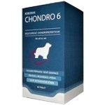 Univit Roboran Chondro 6 60 tbl – Hledejceny.cz