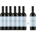 Apulie Schola Sarmenti Primitivo Lianto 2021 13% 5 x 0,75 l (set) – Hledejceny.cz