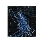 Amazing Shine Proužky na nehty tmavě modrá – Zboží Mobilmania