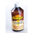 Hyalgel jablko 500 ml