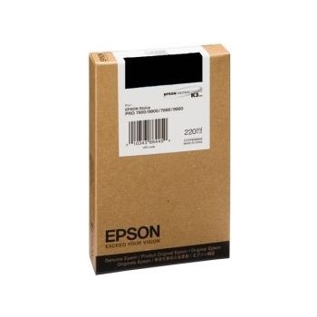 Epson C13T603100 - originální