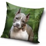 Carbotex pes pitbull 40 x 40 cm – Zboží Mobilmania