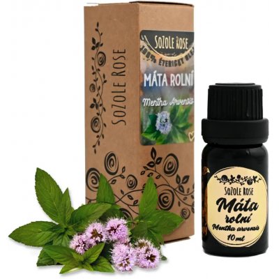 SoZoLe Rose Éterický olej Máta rolní 10 ml – Hledejceny.cz