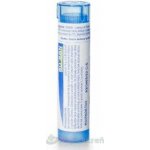LYCOPODIUM CLAVATUM POR 9CH GRA 1X4G – Hledejceny.cz