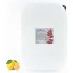 PM Aqualog esence do parních kabin citro 810-010/D 10 l – Hledejceny.cz