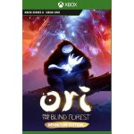 Ori and the Blind Forest (Definitive Edition) – Zboží Živě