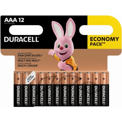 Duracell Basic 12ks AAA 42325 – Zboží Mobilmania