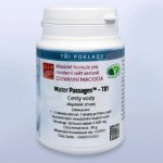 Giovanni Maciocia T81 Cesty vody 60 tablet – Hledejceny.cz