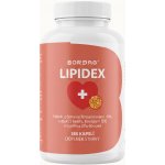 Bormag Lipidex červená rýže monakolin K reishi, Q10, ALA 180 kapslí – Hledejceny.cz