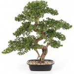Umělá Bonsai borovice Mini v květináči, 68cm – Zboží Dáma