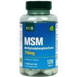Holland & Barrett MSM, 750 mg 120 tobolek – Hledejceny.cz